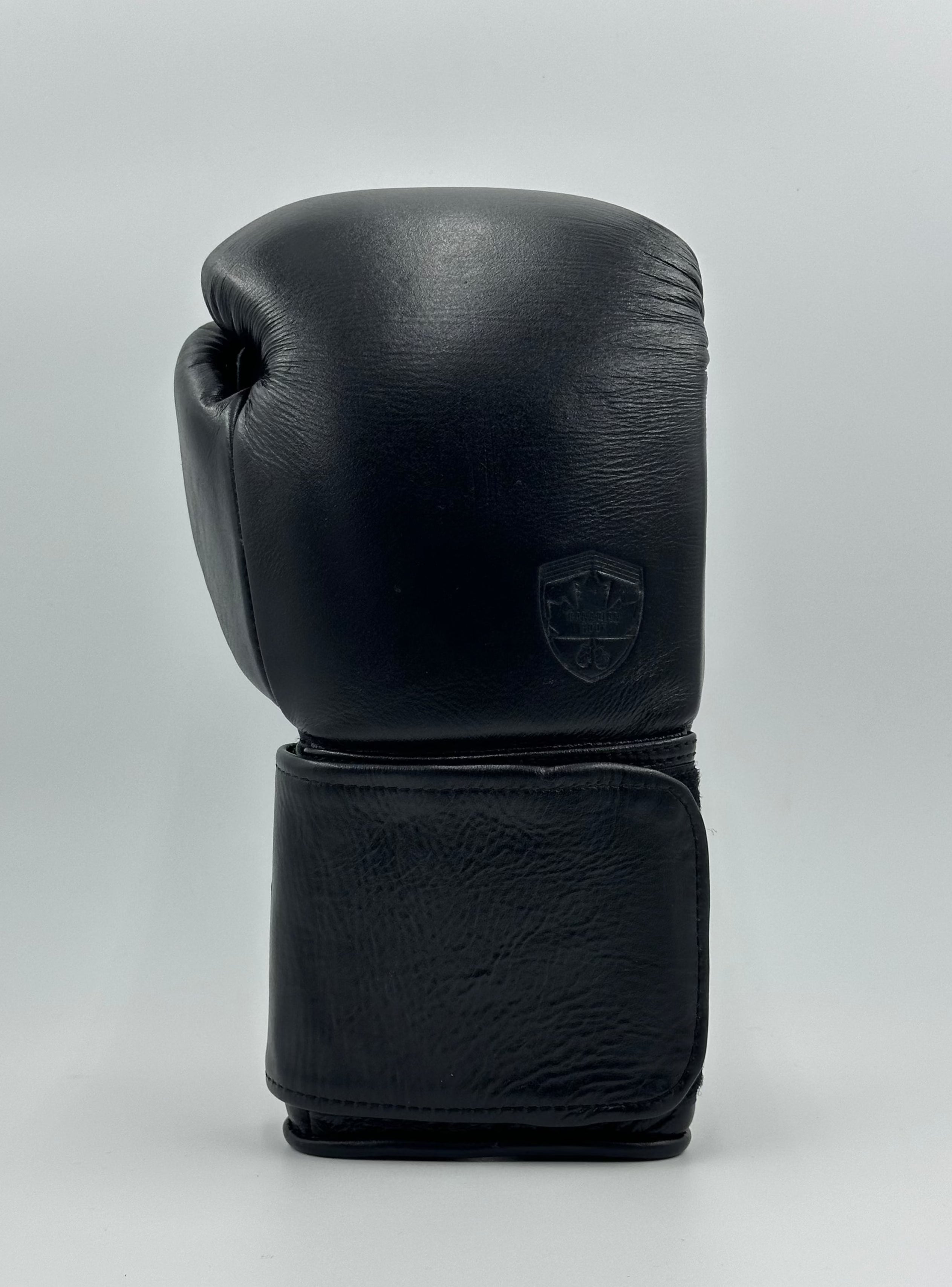 G12000 Boxing Gloves - BLACK – Canadian Hook