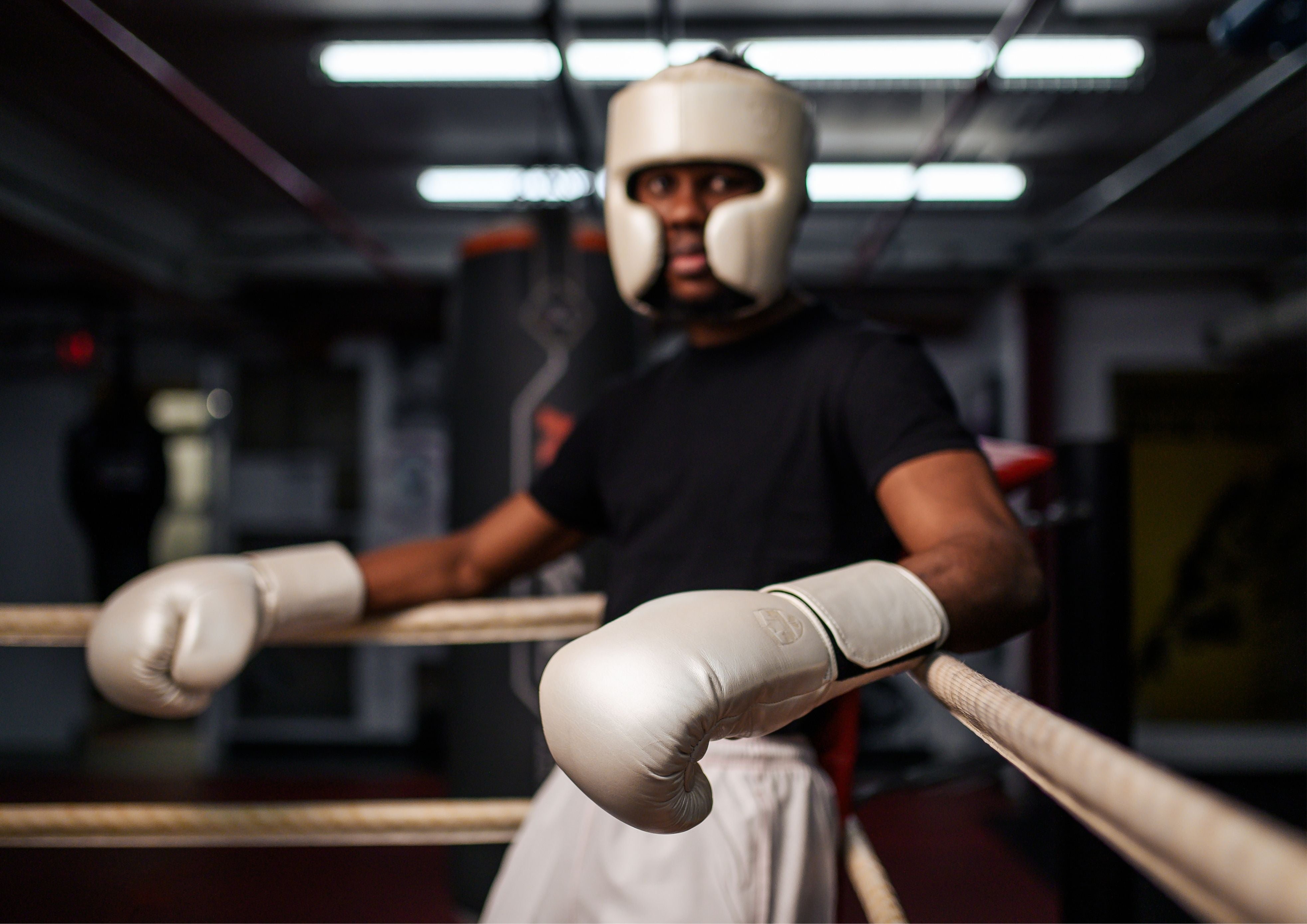 SPARRING GLOVES