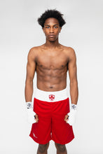 Load image into Gallery viewer, Reversible Amateur Boxing Trunks
