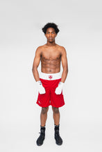 Load image into Gallery viewer, Reversible Amateur Boxing Trunks
